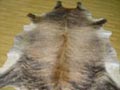 View Cowhide Rugs