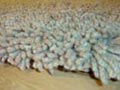 View Shaggy Rugs