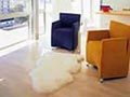 View Sheepskin Rugs
